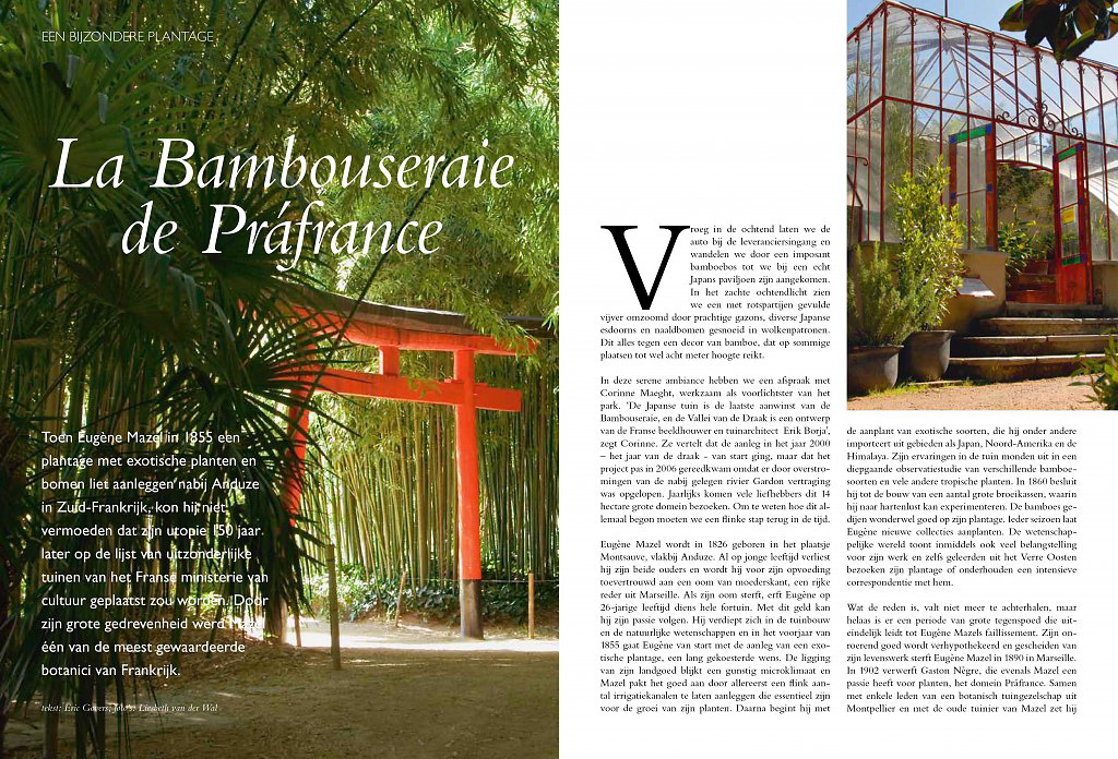 tuinen, La Bambouseraie, Franse tuin, tuinfoto's, architectuur fotografie, tuinfotografie, Japanse tuinen