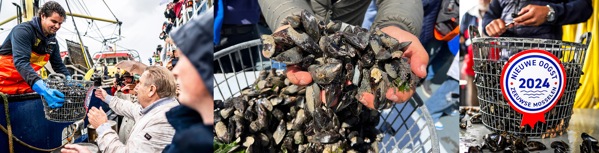 mosselen, mosselcultuur, mosselen eten, mosselgerechten, visvangst, vis, zeeland, Zeeuwse mosselen, Oosterschelde, Zeeuwse bodemcultuurmosselen, culinair, eten, gerechten met mosselen, vakantie in Zeeland, rondvaart op de Oosterschelde, zee en water in Zeeland, Jan Boskamp, mosselambassadeur