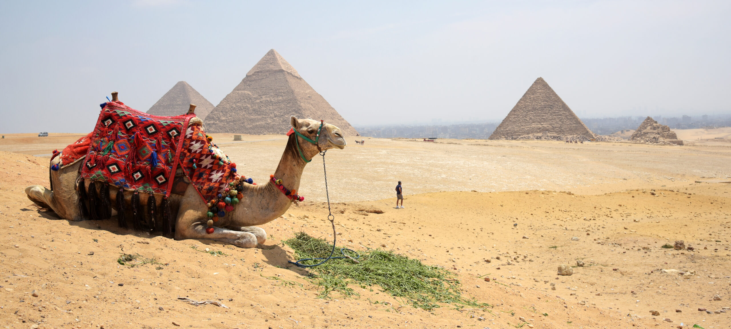 Yalla Yalla! Zie je in Egypte, tentoonstelling in Teylers museum Haarlem 2024, schilderkunst Egypte, Willem de Famars Testas, Collctie Teylers Museum, interactieve tentoonstelling, reizen Egypte, www.santmedia.nl