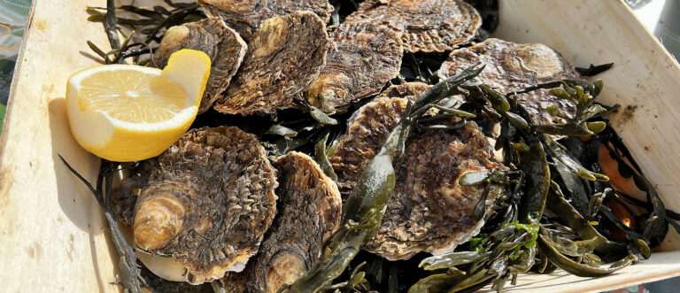 Oesters van Zeeuwse bodem